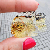 Fossil Amber Carved Fish Figurine